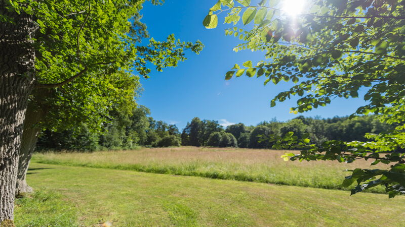 Forstwanderung