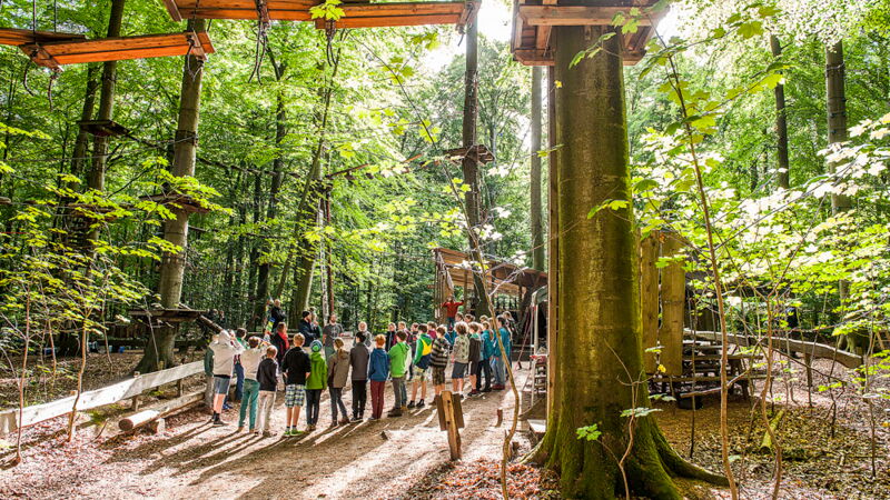 Eine Jugendgruppe im Hochseilgarten Altenhof