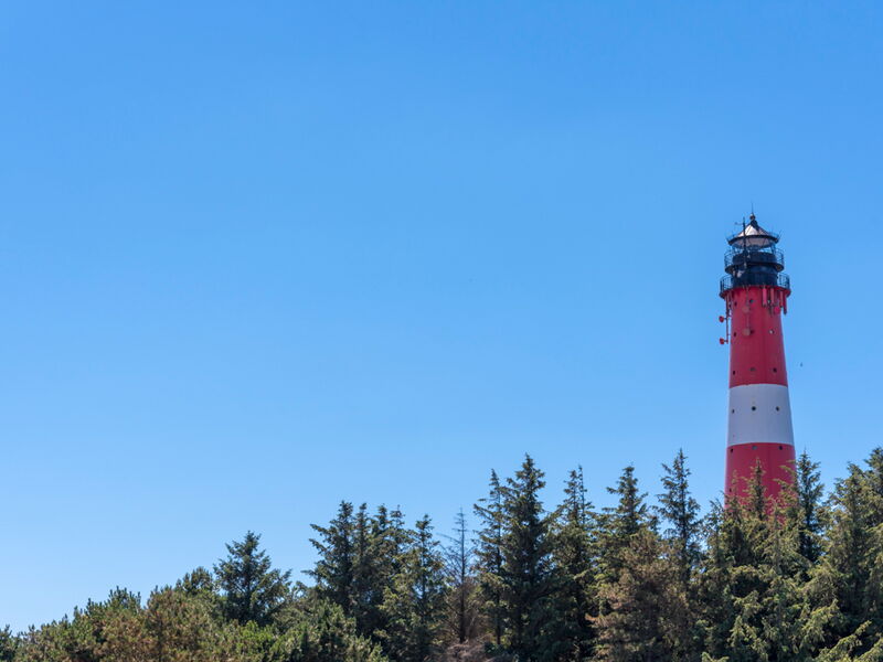 Hörnumer Leuchtturm Hörnumer Leuchtturm und Wald